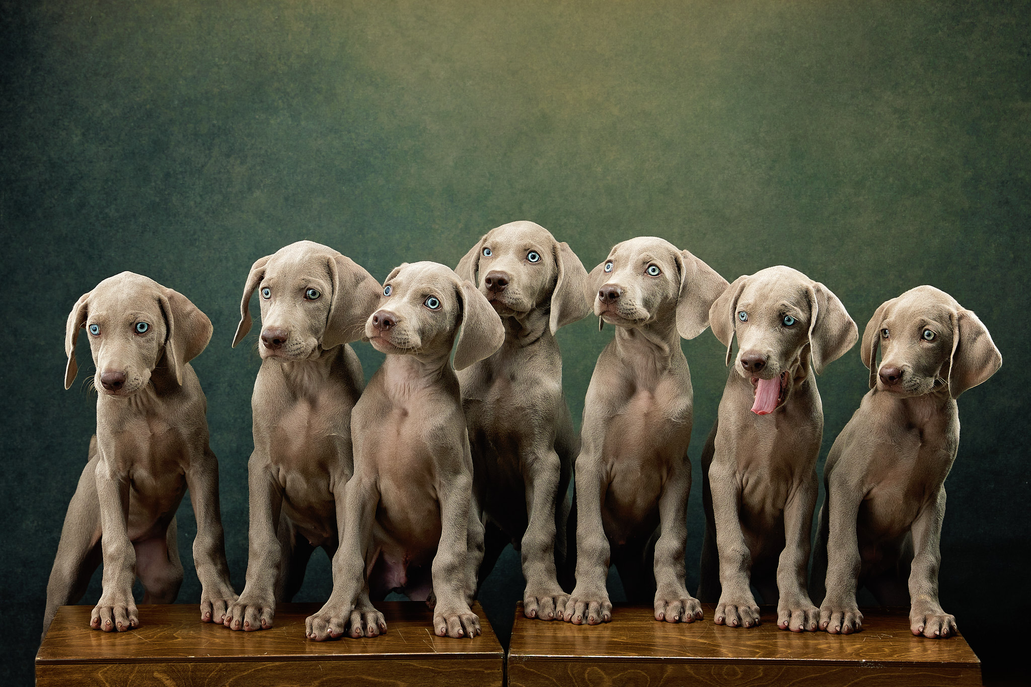 2025-09-17-SilberBay-Prink-Peach-68820