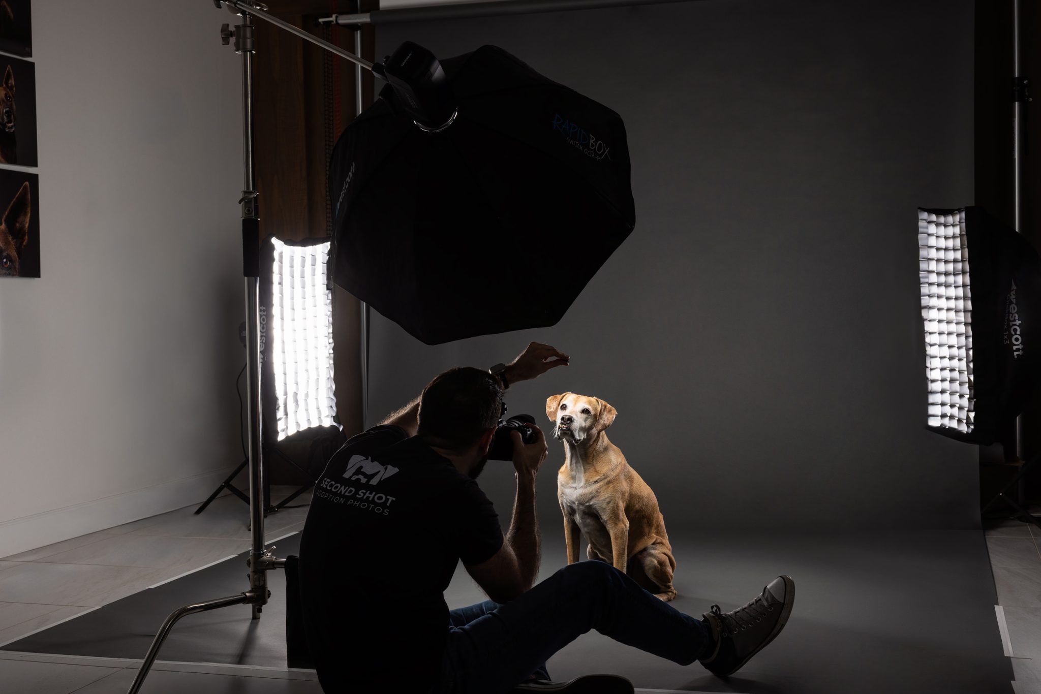 Behind the scenes with key light and strip lights creating rim light for depth and separation.