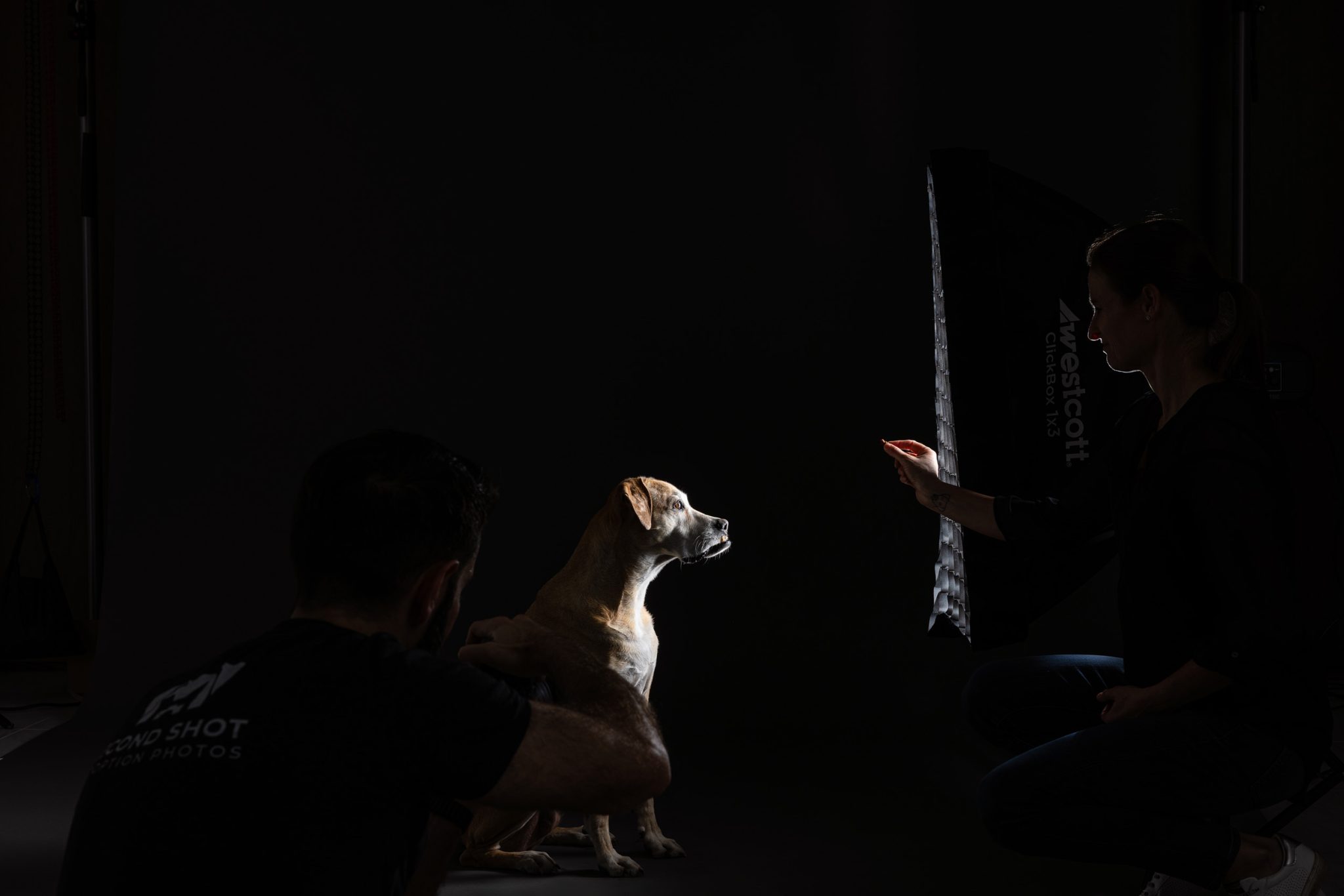 Behind the scenes using a single gridded strip softbox for controlled, directional light.