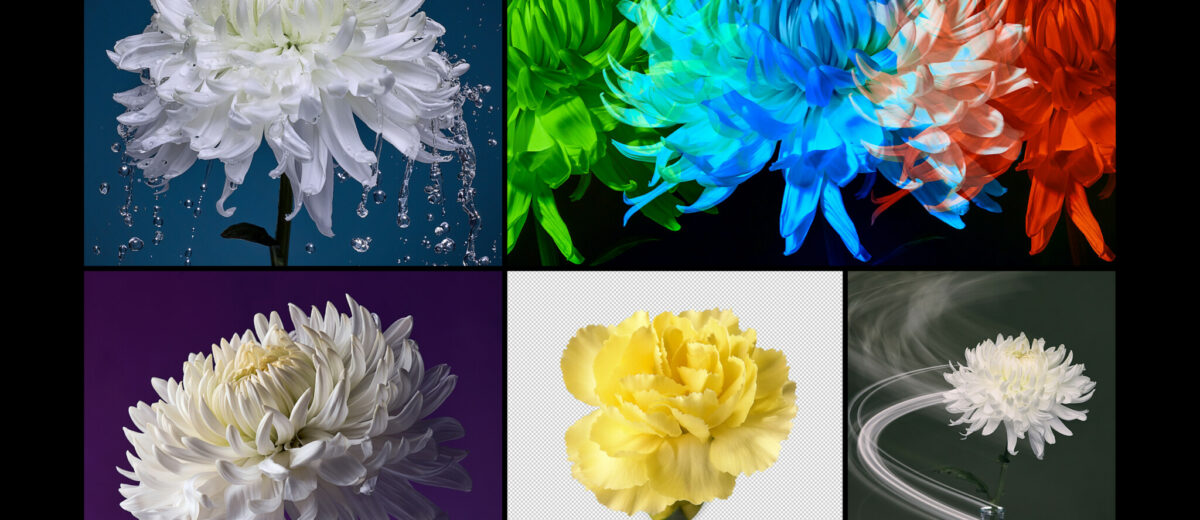 Westcott University — 5 Creative Features of the FJ800 and FJ400 II