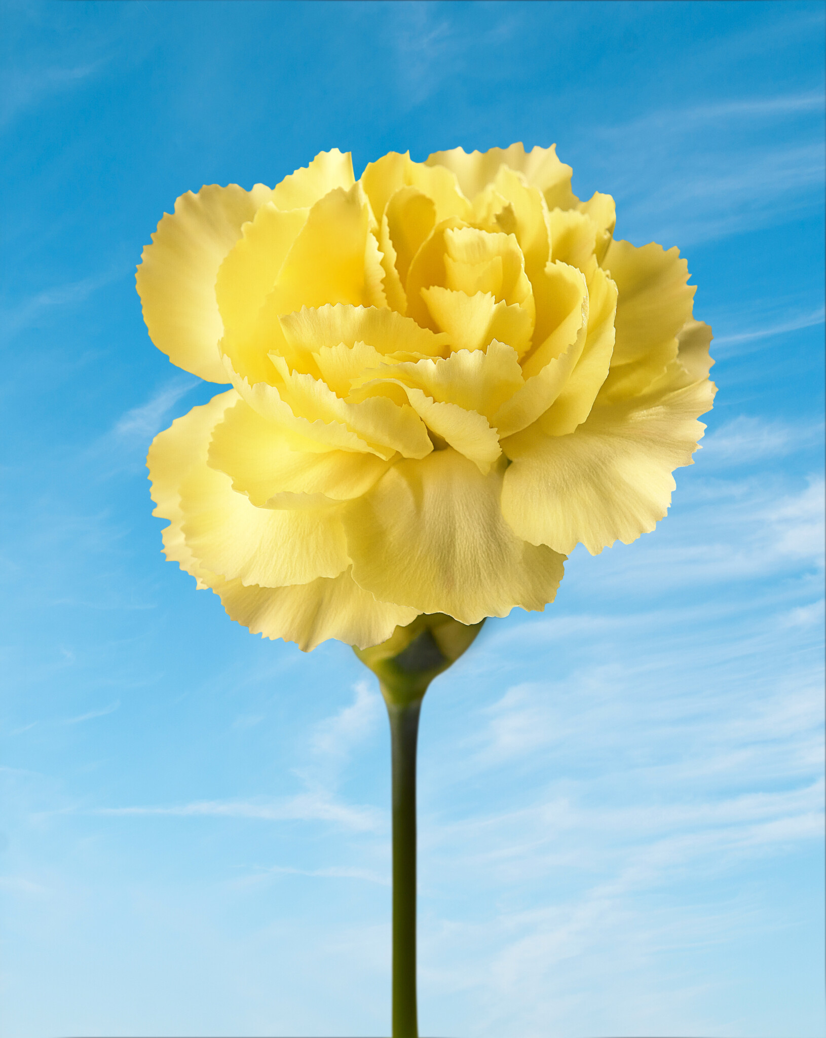 Final composite using creative mask mode