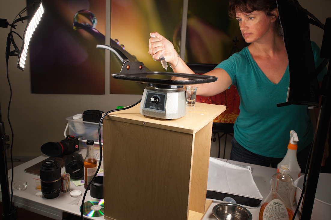 Westcott University — Mastering the Art of Macro Photography