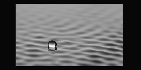 Monica Royal Macro Photography Final Version 2