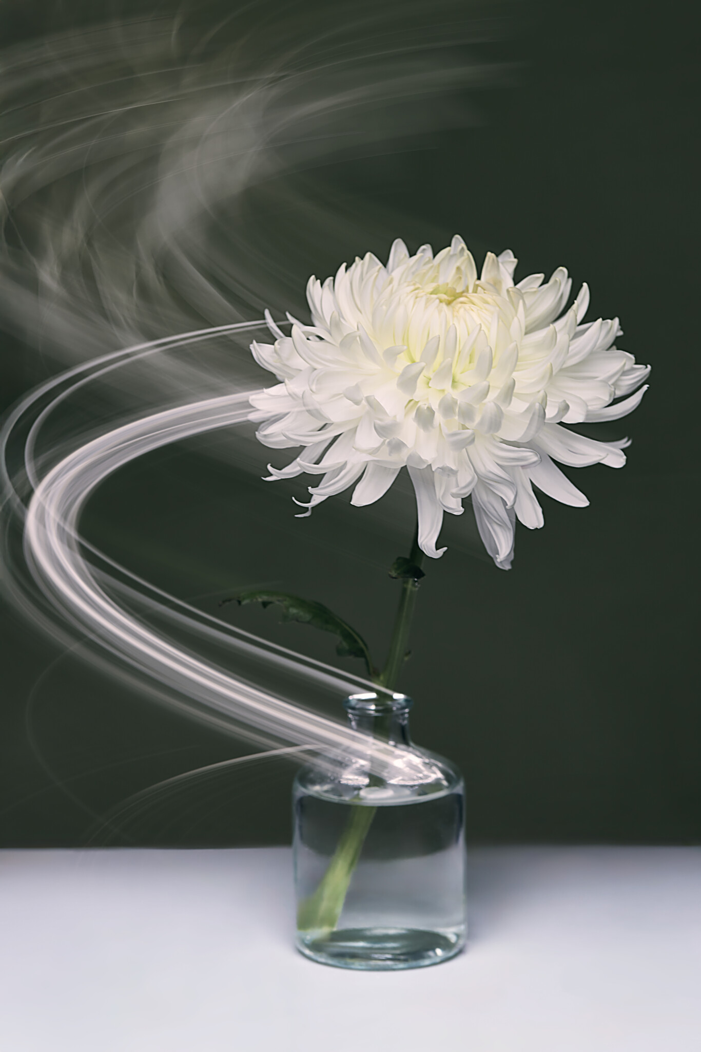 Still life with light trails