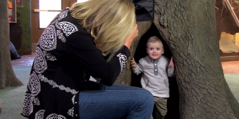 Pocket Box - Photographing Children
