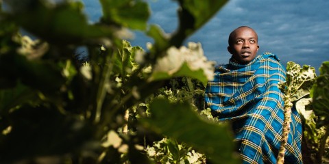 Clean Water & Photography