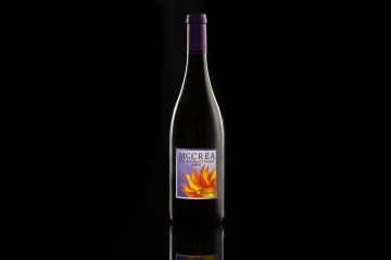 Continuous Lighting with the Skylux - Wine Shoot