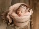 newborn-photography-evie-lynn-westcottu