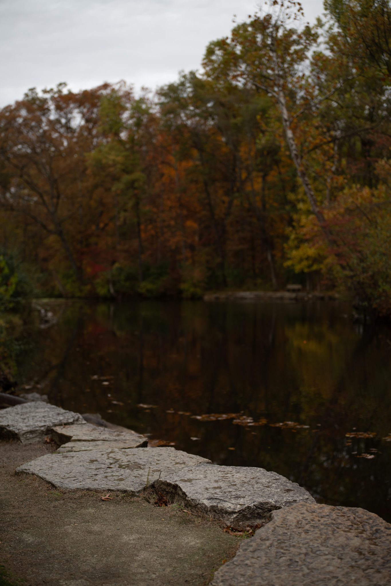 Background too dark shows underexposed ambient light with loss of detail in the scene.