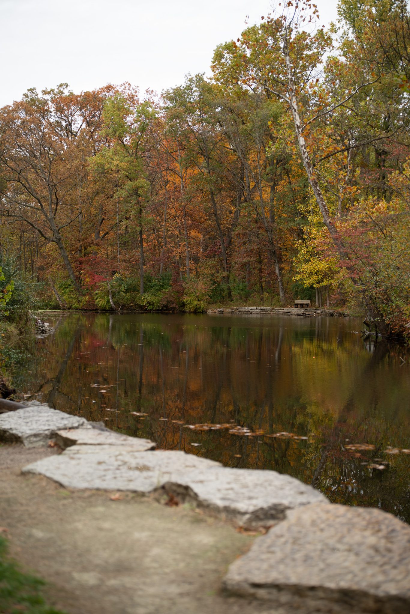 Good background exposure shows balanced ambient light with natural color and detail.