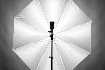 Large and Small Photography Umbrellas