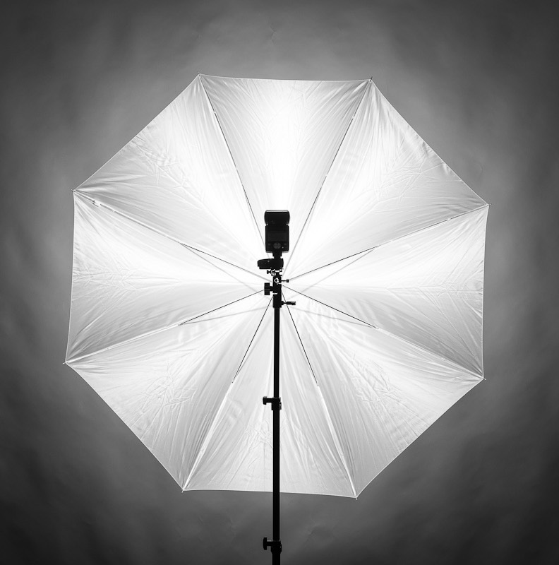 photography umbrella light