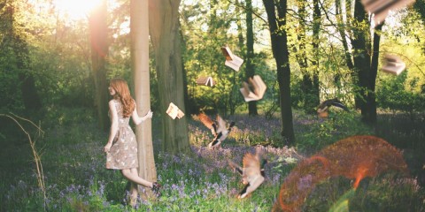 Rick Nunn - Daydream Final